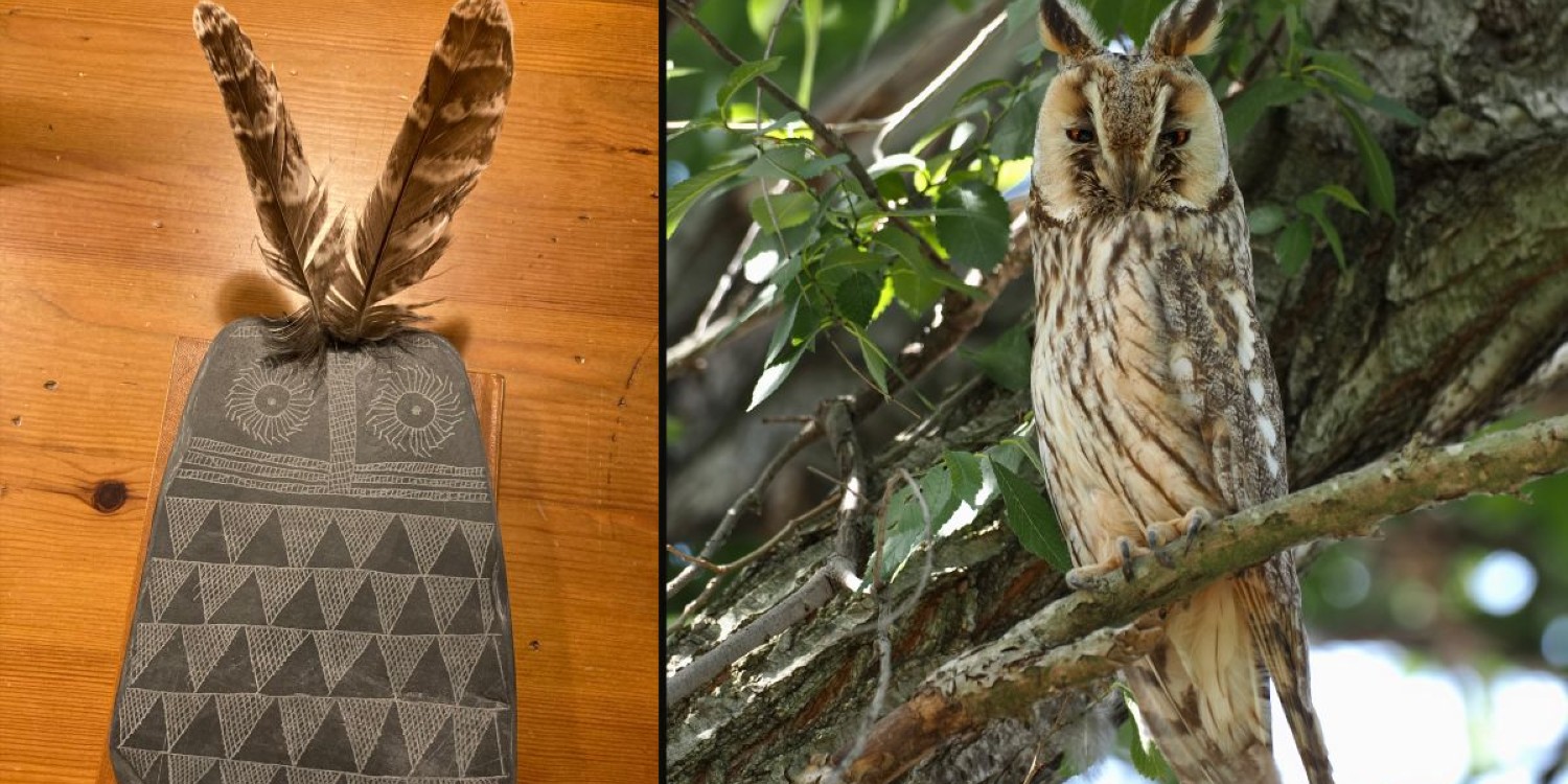 ‘Sacred’ Owl Carvings From Copper Age May Actually Be Children’s Toys