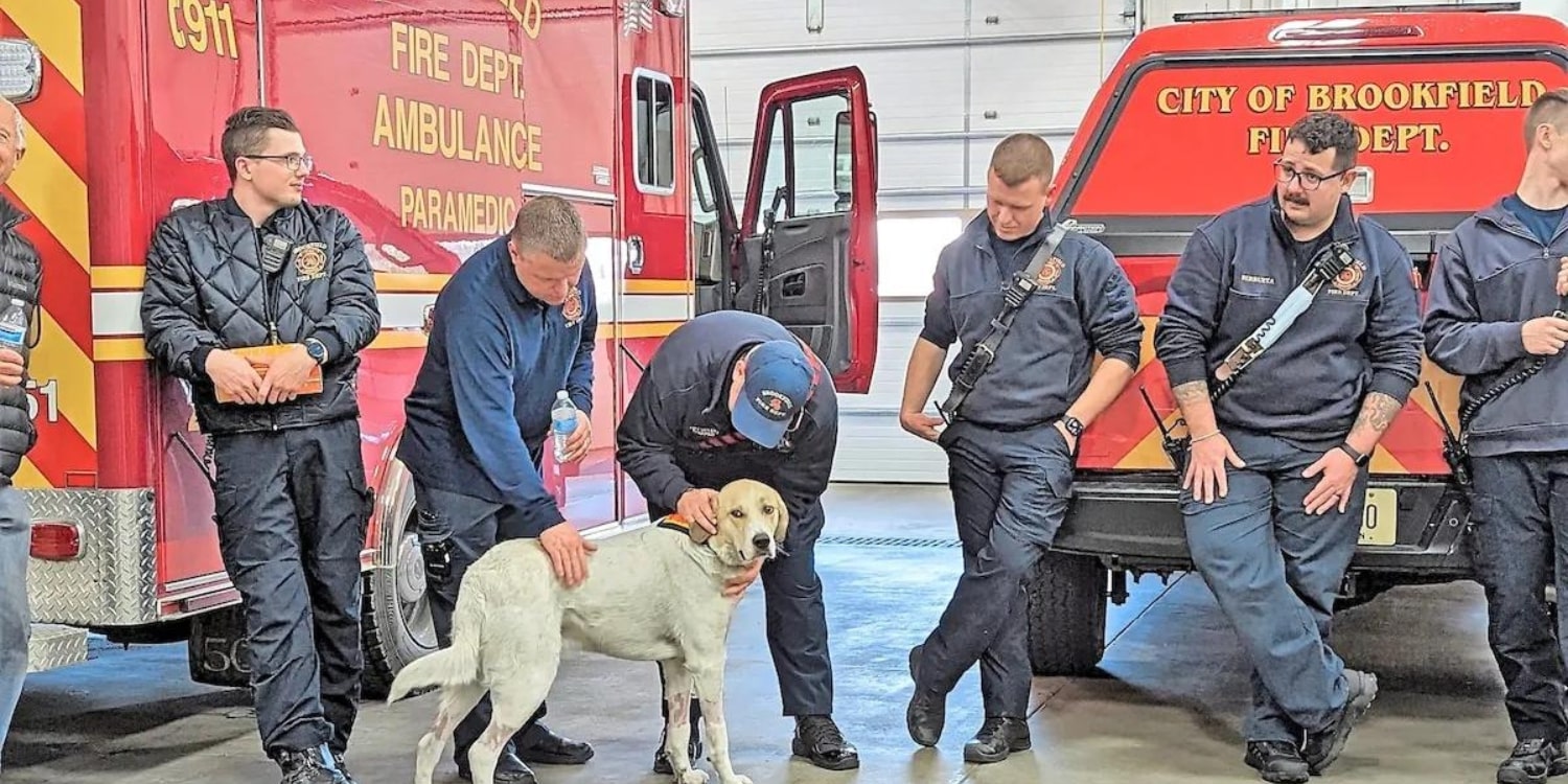 This Hero Dog Alerted His Family to a Fire and Saved Lives — And Then Students’ Donation Saved His Life